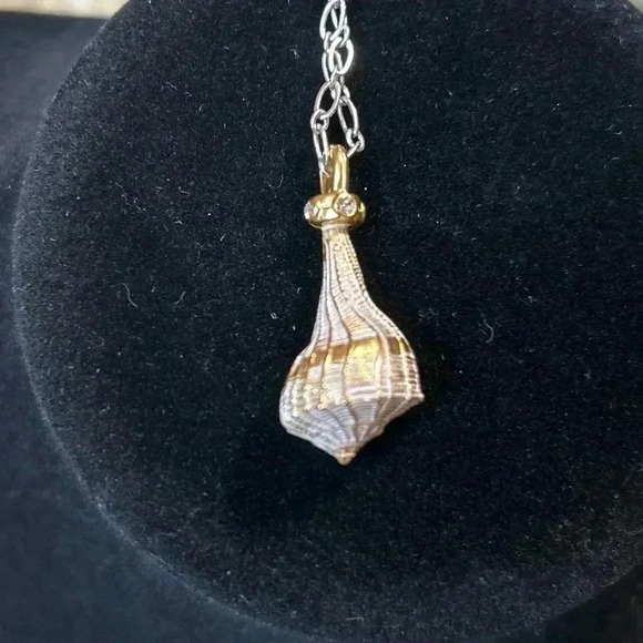 Brighton Lightening Whelk Shell- Shells Around the World Gold Tone Necklace - Picture 2 of 6
